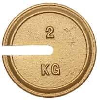 Troemner 9690T 1kg 5" Dia, Metric Slotted Weights, with Traceable Certificate