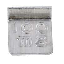 Troemner 61012S 100 mg, Class 7 Economical Aluminum Flat Weight