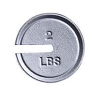 Troemner 9486 0.5 lb, 3-3/4" Dia, Avoirdupois Slotted Weights