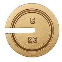 Troemner 9694 5kg, 6" Dia, Metric Slotted Weights
