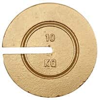 Troemner 9696T 10kg 8" Dia Metric Slotted Weights, with Traceable Certificate