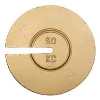 Troemner 9698T 20kg 10-1/4" Dia Metric Slotted Weights, with Traceable Certificate