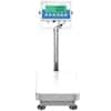 Adam Equipment AGB 175a Industrial Bench Scale, 175 lb / 80 kg x 0.005 lb / 2 g, 11.8" x 15.7" Platform