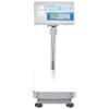 Adam Equipment BCT 130A Industrial Bench Counting Scale with Built-In Advanced Label Printer, 130lb/60kg, 11.8" x 15.7" Platform