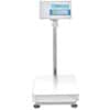 Adam Equipment BCT 330A Industrial Bench Counting Scale with Built-In Advanced Label Printer, 330lb/150kg, 15.7 " x 19.7"  Platform