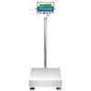 Adam Equipment GGF 165A Gladiator Industrial Washdown Scale, 165lb/75kg  x 0.01lb/5g, 15.7" x 19.7" Platform