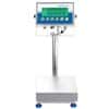 Adam Equipment GGS 35A Gladiator Industrial Washdown Scale, 35lb/16kg  x 0.002lb/1g, 9.8" x 9.8" Platform
