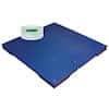 Adam Equipment PT 312-5GKaM Floor Scale with GKaM Indicator, 5000lb/3000kg x, 1Lb/500G, 115V