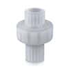 Self-Closing Check Valve, PVDF, 1/2" NPT(F)