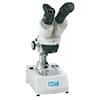 Cole-Parmer Compact Stereomicroscope; 10x/30x, 115V
