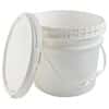 Cole-Parmer Screw-Top HDPE Pail with Handle, 3.5 Gal (13 L)