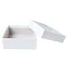 Cole-Parmer Cardboard Freezer Box, 5-1/4" x 5-1/4" x 2"; without Divider