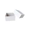 Cole-Parmer Cardboard Freezer Box, 5-1/4" x 5-1/4" x 3"; without Divider