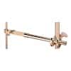 Cole-Parmer Thermometer Clamp, Extension, Nickel-Plated Zinc