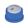 Cole-Parmer VapLock™ Solvent Delivery Cap, two 1/4"-28 ports, GL25; 1/ea