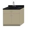 Cole-Parmer Complete Sink and Cabinet Assembly, 4'