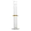 Cole-Parmer Graduated Cylinder, Class A, To Contain, NIST Calibration; 250 mL