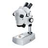 Cole-Parmer Binocular Stereozoom Microscope, 10x-40x, 115V