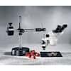 Cole-Parmer Binocular Stereozoom Microscope, 10x-40x, boom stand