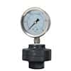 Cole-Parmer Industrial Pressure/Process Gauge, 2.5" Dia, PTFE Diaphragm; 0 to 100 psi