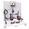 Cole-Parmer pH/ORP Chemical Feed System, One Pump, 2.0 GPH, 105 psi, No Controller; 230 VAC