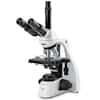 Cole-Parmer MSU-400 Compound Trinocular Microscope, 4/10/40/100x, Brightfield Plan; 100-240 VAC