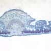 Cole-Parmer Prepared Slide, Oleander Leaf, Cs