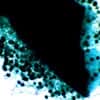 Cole-Parmer Prepared Slide, Aspergillus