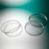 Corning Gosselin Bi-Plate Petri Dish, Polystyrene, 100 x 15 mm, Sterile; 825/Cs