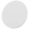 Diba Omnifit® Spare Filters for 1/4"-28 Flat Bottom Inline Solvent Filter, 20 µm; 20/pk