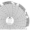 Graphic Controls 4.5" Circular Chart Recorder Paper, -30 to 50°C, 7 Days, 60/Pack