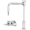 ICI Quick Ship Foot Operated Faucet with Vacuum Breaker