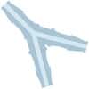 Idex Barbed Connector, Y, Polypropylene, 1/8" Hose Barb; 1/EA