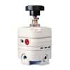 Marsh Bellofram 960-003-000 Pressure Regulator, 1/4" NPT(F), 2-25 psi
