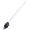 Mettler Toledo 30330847 190 mm Filling Tube for Mettler Densito and DensitoPro