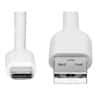 Mettler Toledo 30893022 Cable USB-C (m) – USB-A (m) for use with MX, MR, MA, and LA Balances 