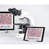 Motic Instruments Panthera Cloud Compound Binocular Microscope, Smart CAM Camera, LED and Halogen, 40-1000X; 100 to 240 VAC
