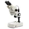 National Optical Professional Stereozoom Microscope, Binocular, Dual LED Base; 110-240 VAC