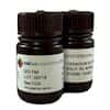 NSI Lab Solutions QCI-144B Vanadium Drinking Water PT Express™; 2/PK
