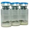 NSI Lab Solutions CMPT-042B Quantitative Mycotoxins in Hemp PT Express™ with Spiking Solution; 2/PK