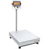 Ohaus D33XW300B1X2 Defender® 3000 Hybrid Bench Scale, Column-Mount SS Indicator, 25.6"x19.7" Platform, 300kg x 50g