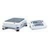 Ohaus EX4202N Explorer Toploading Balance, 4200g x 0.01g with NTEP Certified