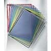 Tarifold W231 RED SLM Organizers; Wall Unit with 10 Red Lined Folders