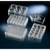 Thermo Scientific Nunc 150200 Cell Culture Multidishes, Non-Treated, Polystyrene, Sterile, 12-Well, 2 mL; 75/Cs