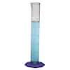 Thermo Scientific Nalgene 3663-0050 Clear PMP Graduated Cylinder, 50 mL, 1/Pk
