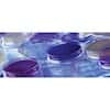 Thermo Scientific R01292 Cetrimide selective agar, 10/pk