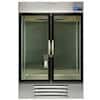 Thermo Scientific TSG General Purpose Chromatography Refrigerator, 49 cuft, Gray Exterior, Double Glass Doors; 115 VAC