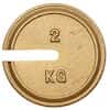 Troemner 9690T 1kg 5" Dia, Metric Slotted Weights, with Traceable Certificate