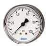 Wika 9690586 Standard Vacuum Gauge, -30 inHg to 0 psi, Back Mount, 2" dia, 1/4" NPT