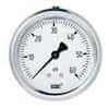 Wika Type 213.53 0 to 600 psi Industrial Gauge with Back Connection, 2 1/2" Dial